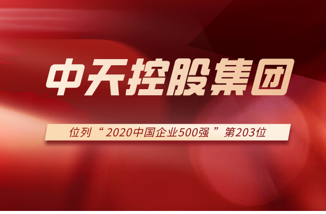 d88尊龙z6集团列2020中国企业500强第203位！